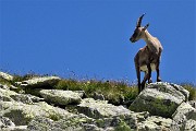 43 e via verso il versante valtellinese...
